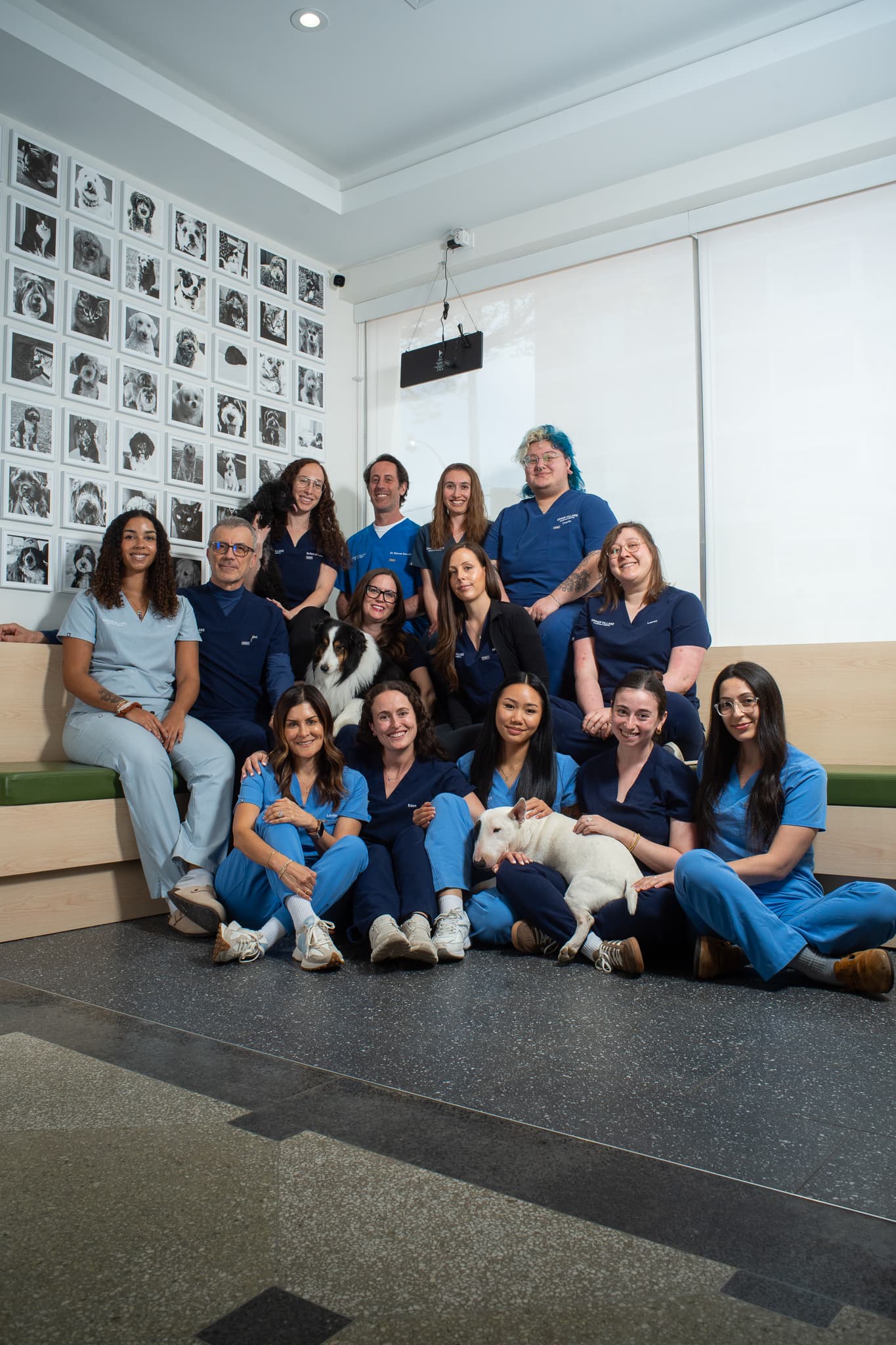The Upper Village Veterinary Hospital team together in the clinic