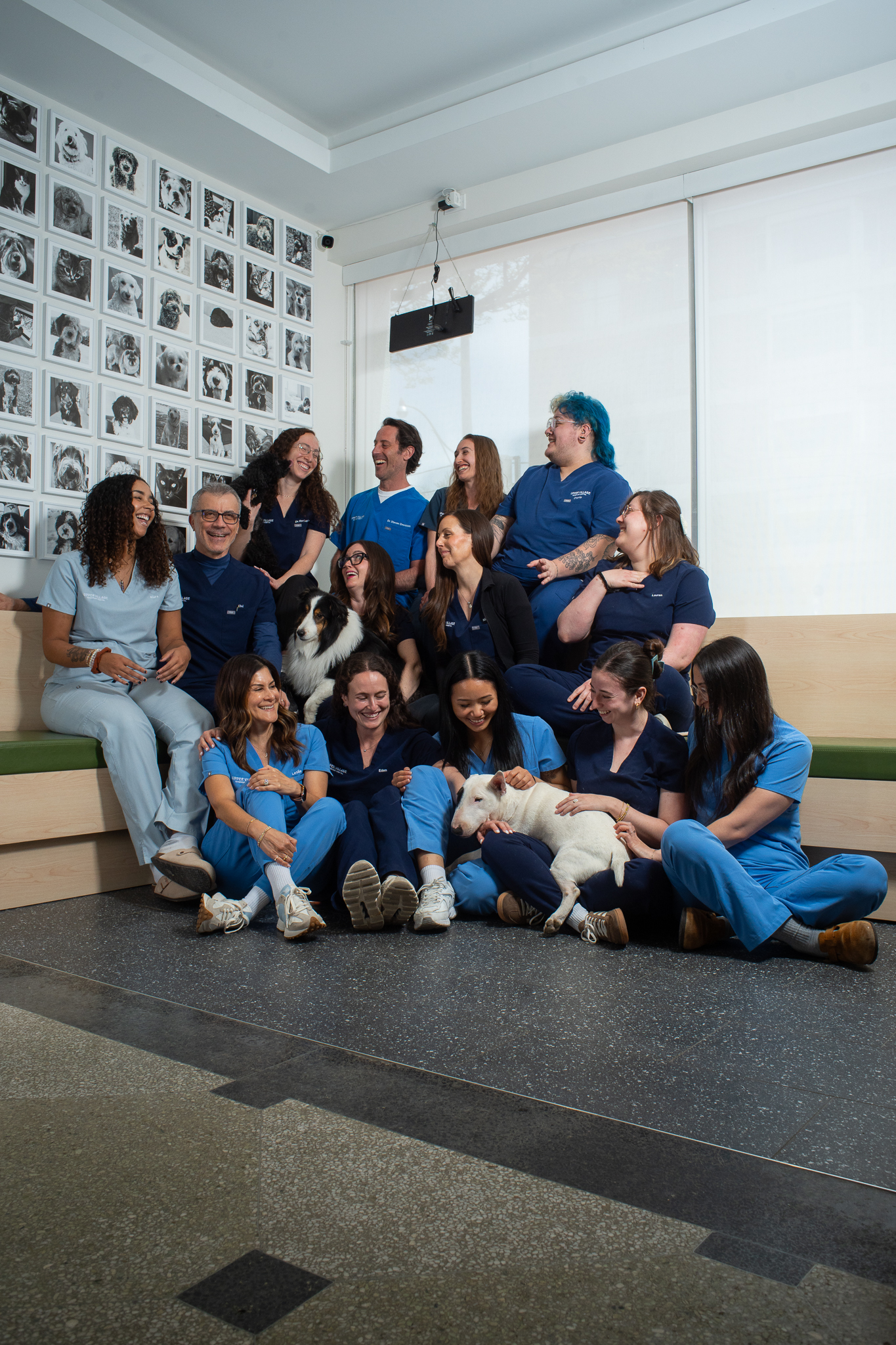 The Village Vet+ team gathered with their dogs at the clinic