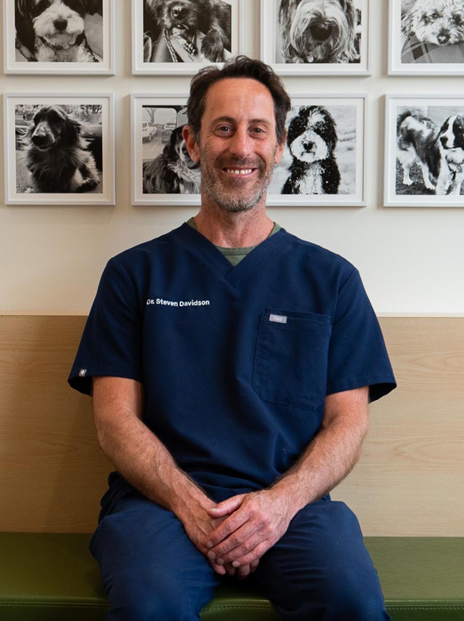 Dr. Steven Davidson seated inside Upper Village Veterinary Hospital
