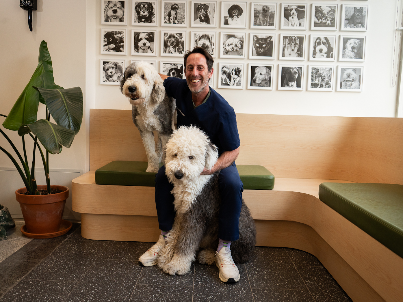 Dr. Steven Davidson with two dogs inside Upper Village Veterinary Hospital