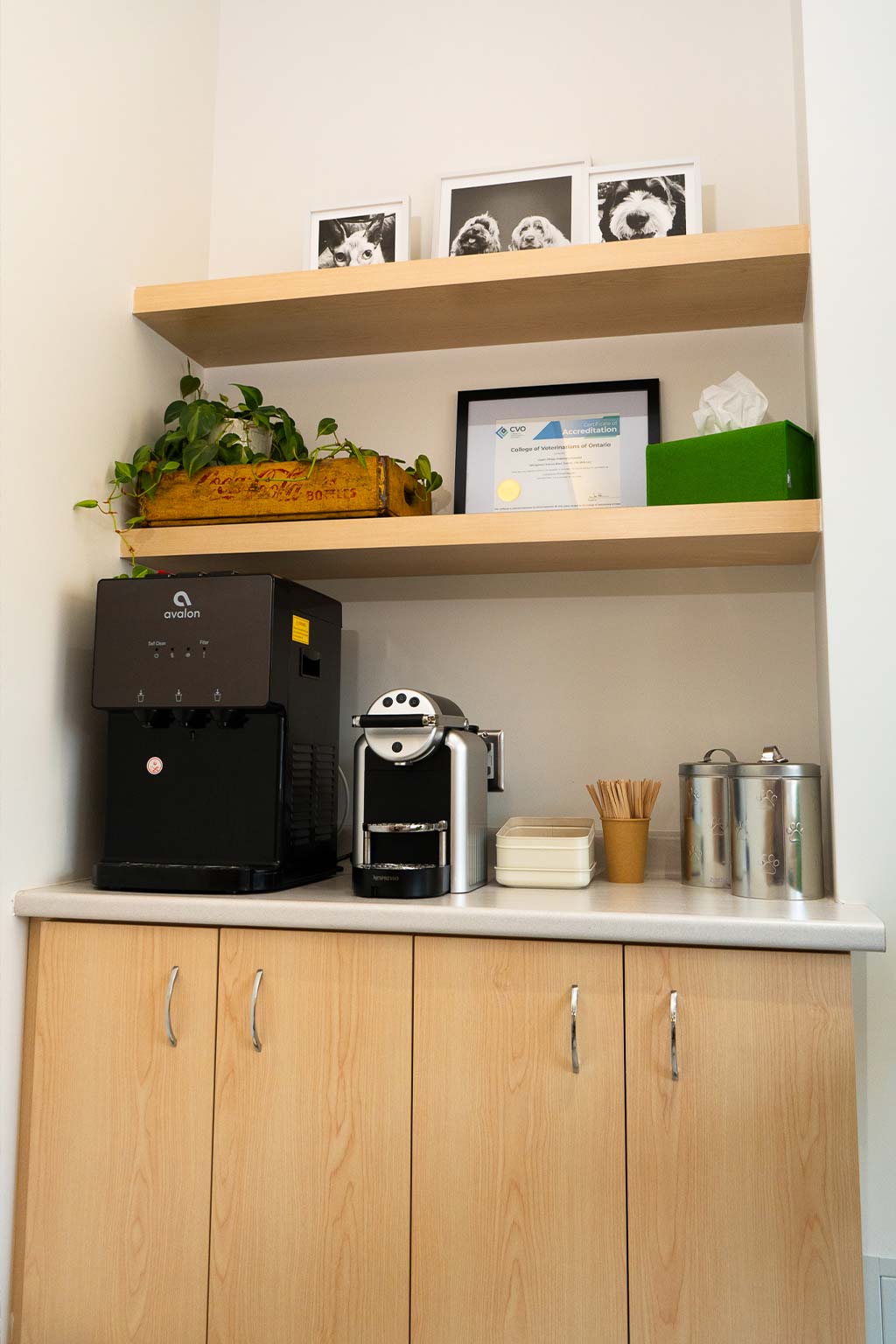 Coffee and treat station inside the clinic
