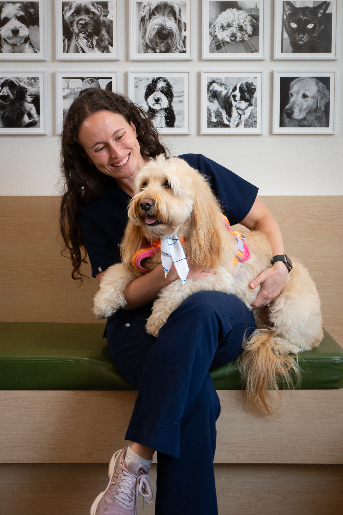A veterinarian holding a dog at Upper Village Veterinary Hospital